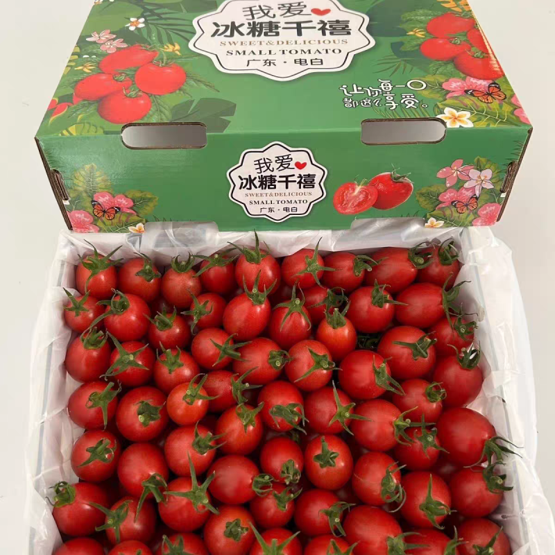电白千禧圣女果产区直销货源充足，量大从优