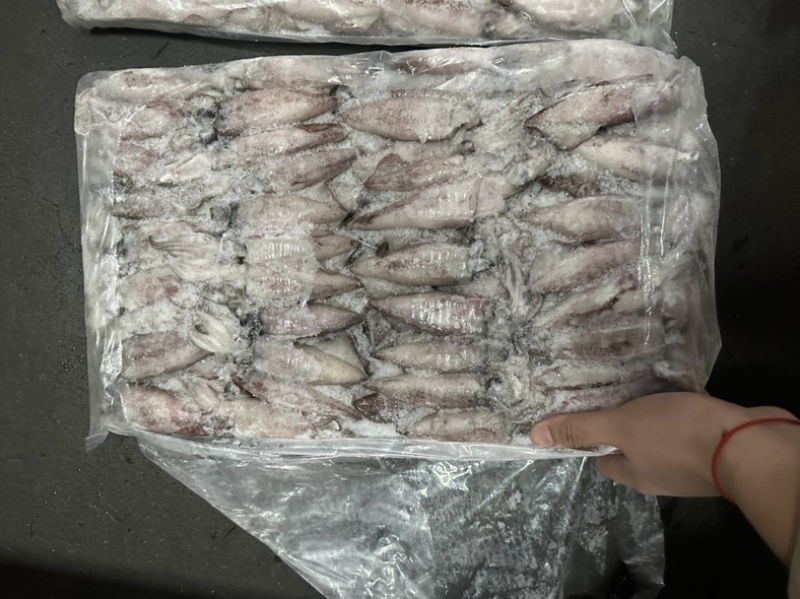 路冻鱿鱼8/10