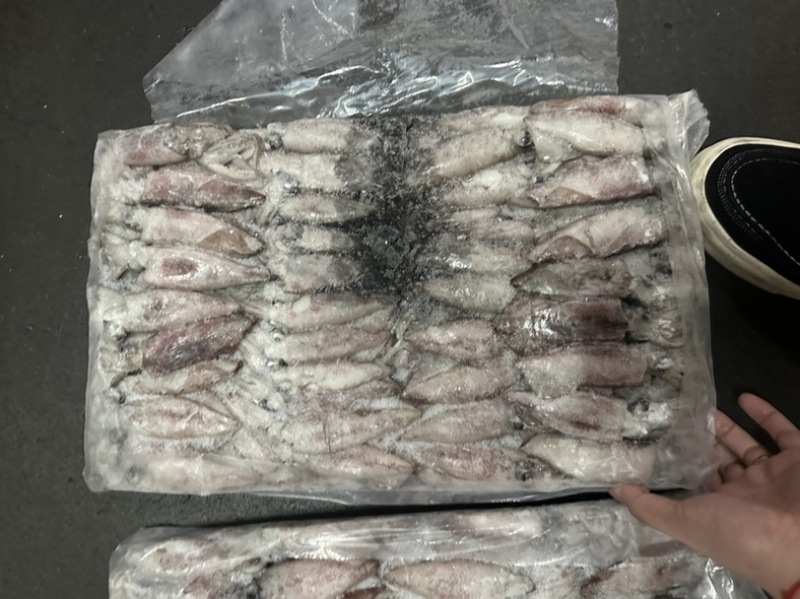 路冻鱿鱼8/10
