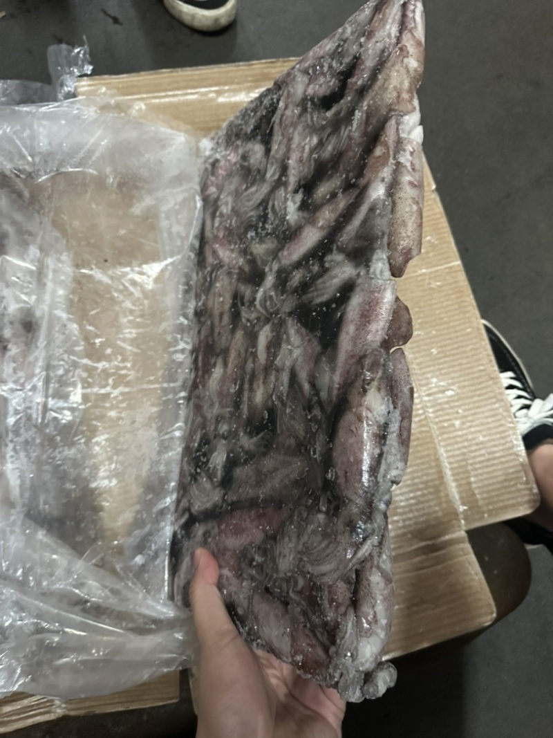 路冻鱿鱼8/10