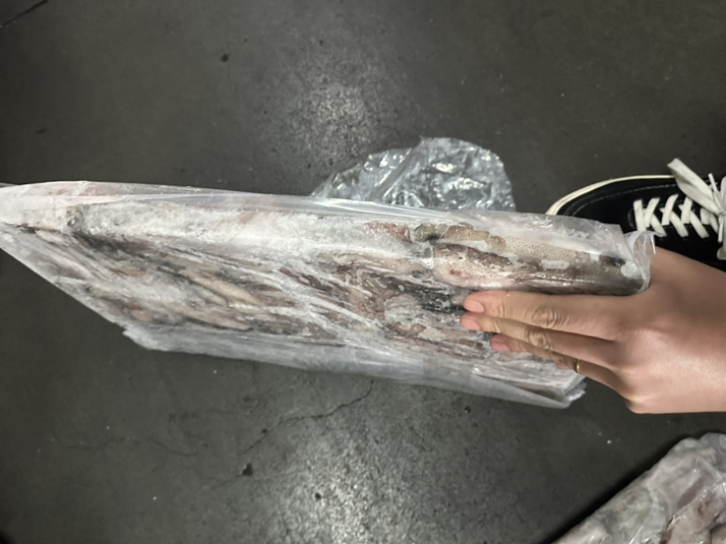 路冻鱿鱼8/10