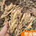 红芽嫩姜带泥现挖现发3斤装5斤装