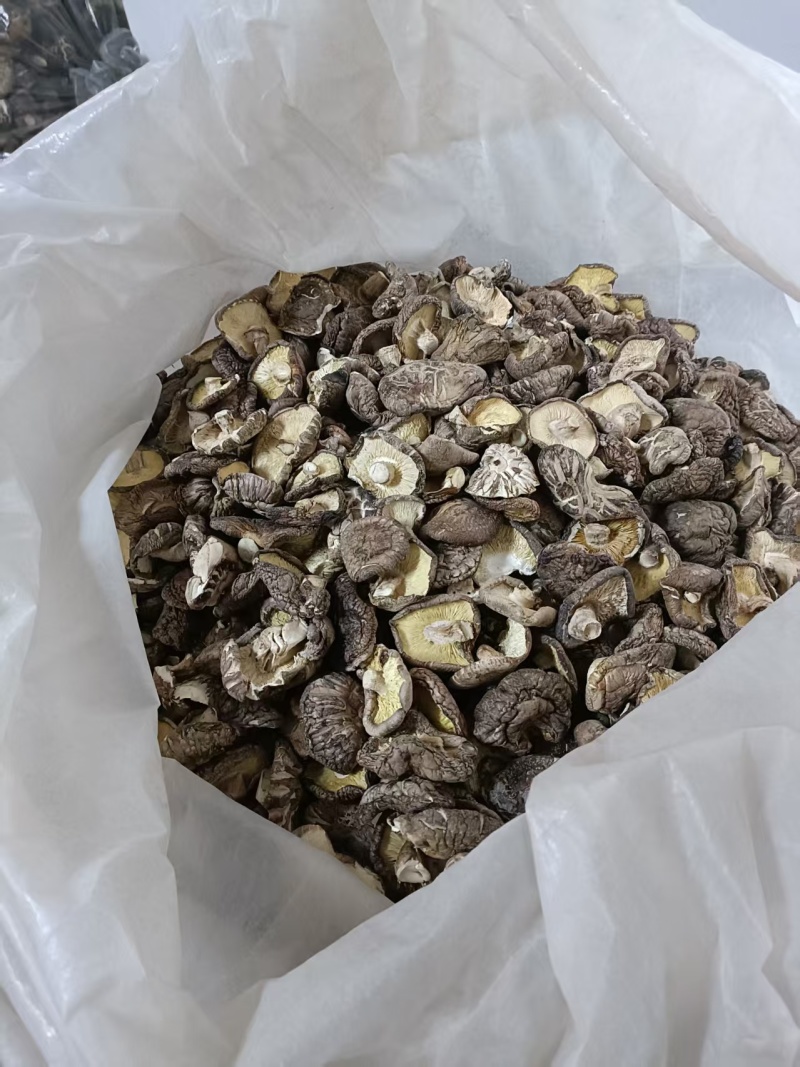 畸形菇大量有货颜色好品质优可对接市场商超可视频看货欢迎