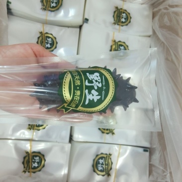 海参包装海鲜真空包装包装袋鲍鱼包装鲜参包装