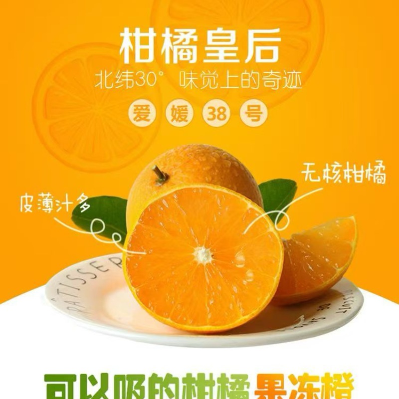 橙子爱媛橙果冻橙协助装车一手货源产地直发