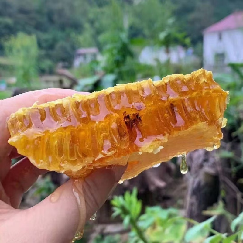 高山土蜂蜜