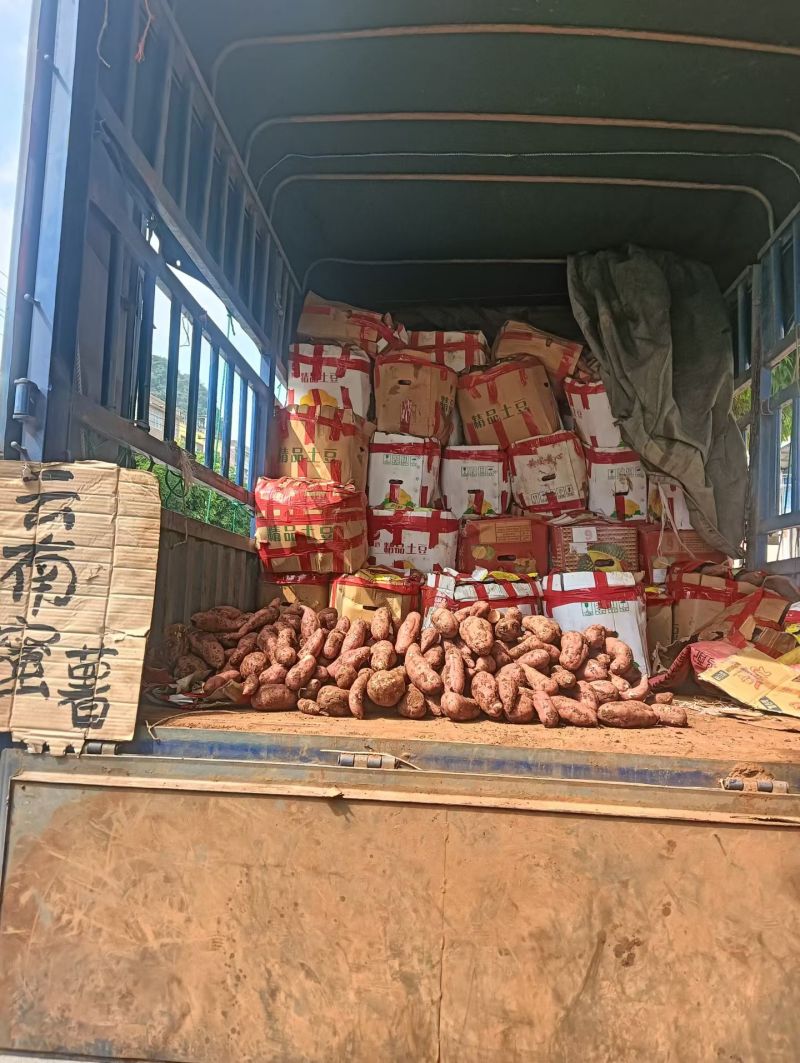 精品西瓜支持拿样