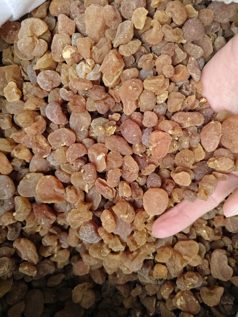 土贝母优质新货土贝母颜色红批发零售量大从优