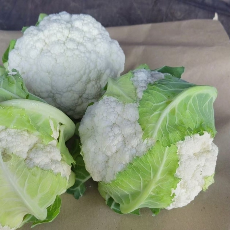 浙江温州花菜/绿梗白面菜花/产区直发