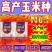 正品优质玉米种子大棒紫杆紫叶抗病抗虫抗旱涝抗倒伏苞米种子