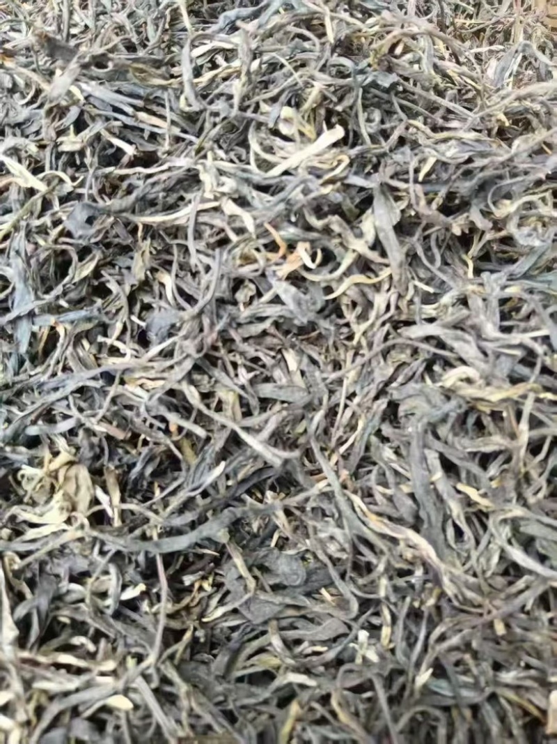 普洱生茶厂家直销，品质保证全国发货