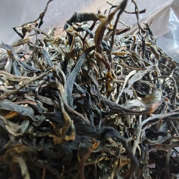普洱生茶厂家直销，品质保证全国发货