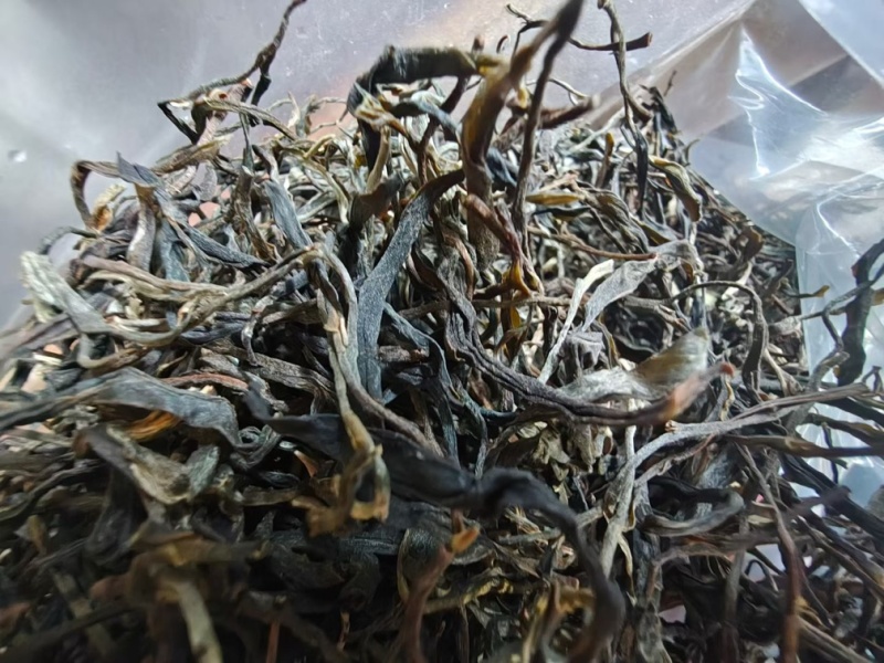 普洱生茶厂家直销，品质保证全国发货