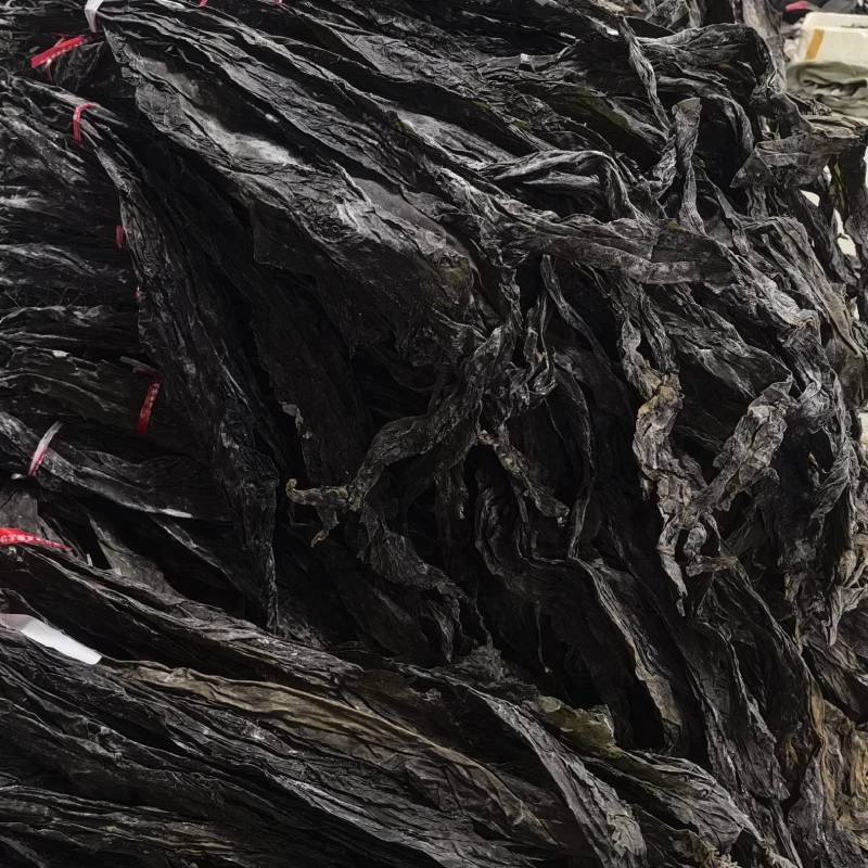 赶集摆摊专用海带干货跑海带片海带头海带丝海菜干货超市海带