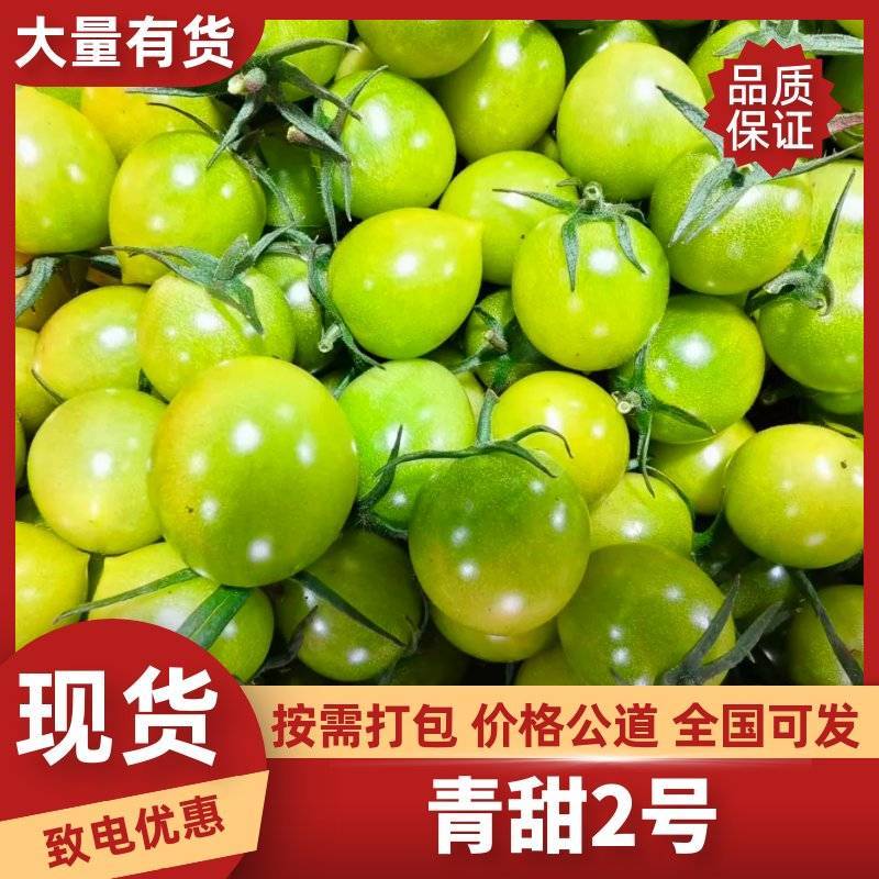 寿光青甜二号小番茄绿色小番茄甜度高产地欢迎来电咨询