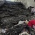 赶集摆摊专用海带干货跑海带片海带头海带丝海菜干货超市海带