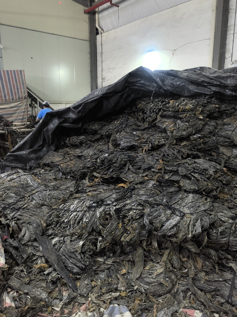 赶集摆摊专用海带干货跑海带片海带头海带丝海菜干货超市海带