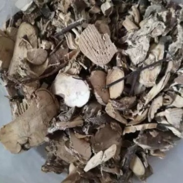 冷背中药材芫花根元花根芫花条根黄大戟根铁牛皮