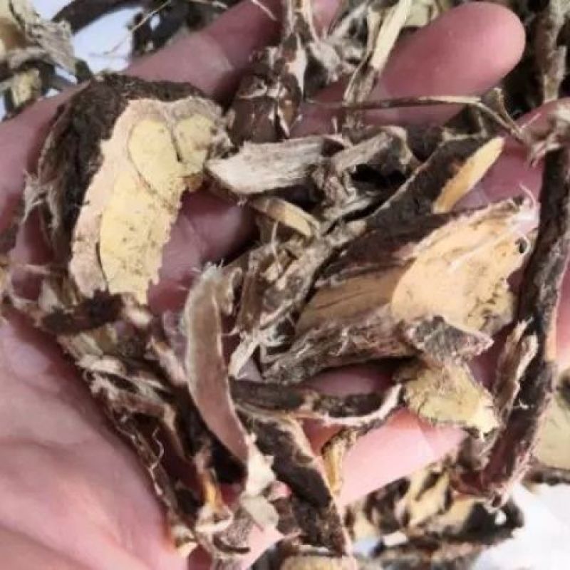 冷背中药材芫花根元花根芫花条根黄大戟根铁牛皮