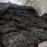 赶集摆摊专用海带干货跑海带片海带头海带丝海菜干货超市海带