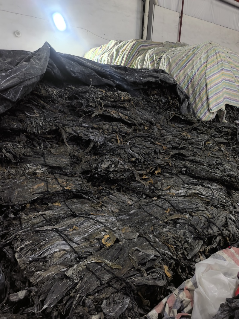赶集摆摊专用海带干货跑海带片海带头海带丝海菜干货超市海带