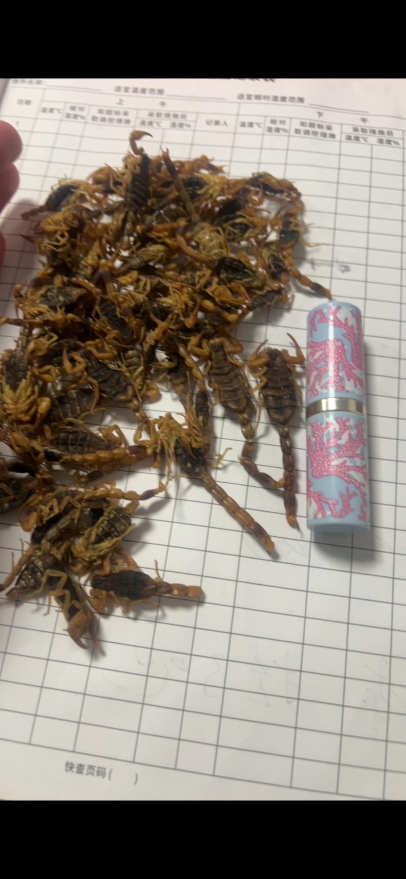 活煮大通货