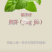 大叶荆芥薄荷种子猫薄荷美国薄荷“大叶荆芥种子野菜荆芥种籽