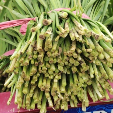 无公害绿色食品