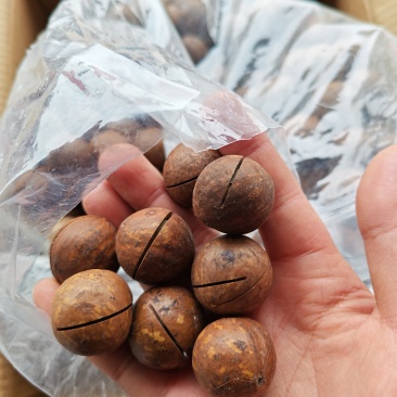 新货精品夏威夷果，奶香味十足