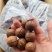 新货精品夏威夷果，奶香味十足