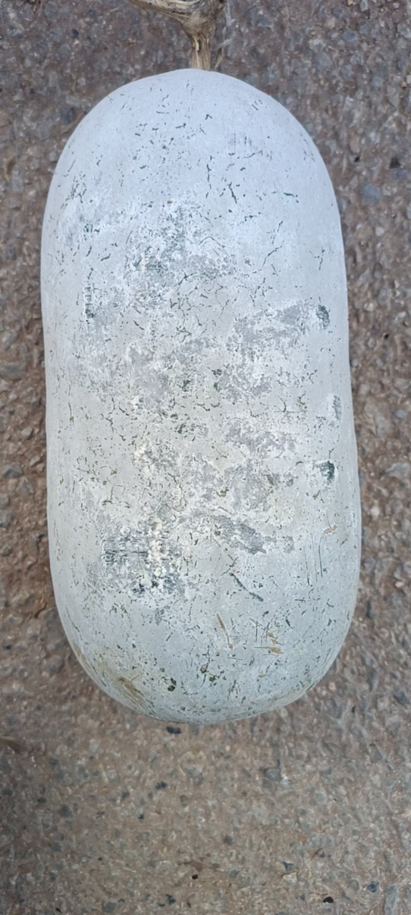 云南大理小香冬瓜，对接各大商超，各大电商平台