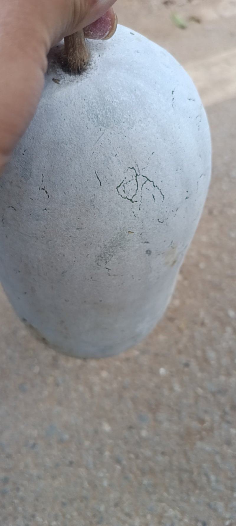 云南大理小香冬瓜，对接各大商超，各大电商平台