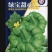 云南姜炳瓜种子中早熟品种瓜形扁圆老瓜香而甜味