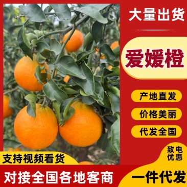 【一件代发】爱媛橙果冻橙爱媛38号代发全国可视频看货对接