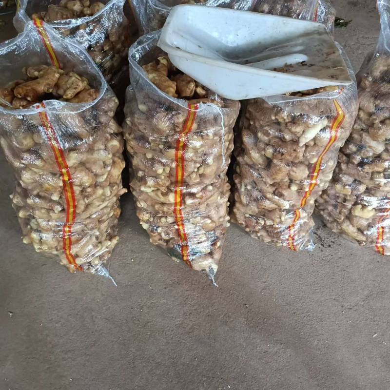 姜母泥姜母水洗姜母品质保证价格便宜产地一手货源