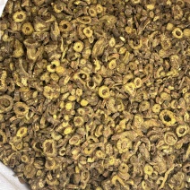 枯黄芩量大从优诚信经营/产地直发