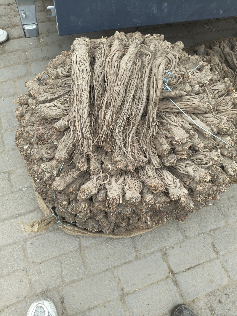 正规货源品质保证欢迎联系供应商一手货源等你来拿