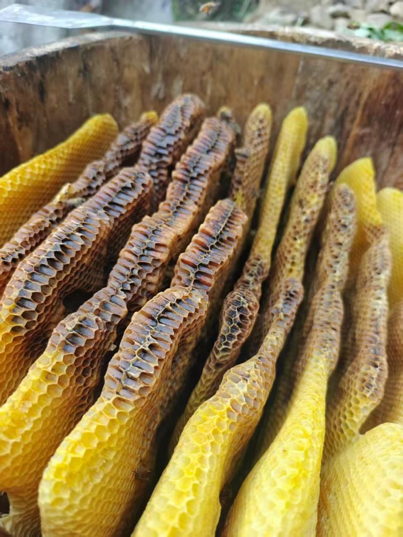 精品野生土蜂蜜纯正天然蜂场直供品质保证