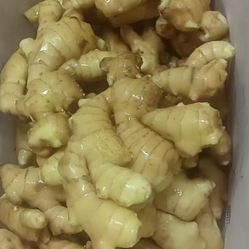 大黄姜批发《泥姜水洗姜风干姜》随到随装/供市场，商电全国