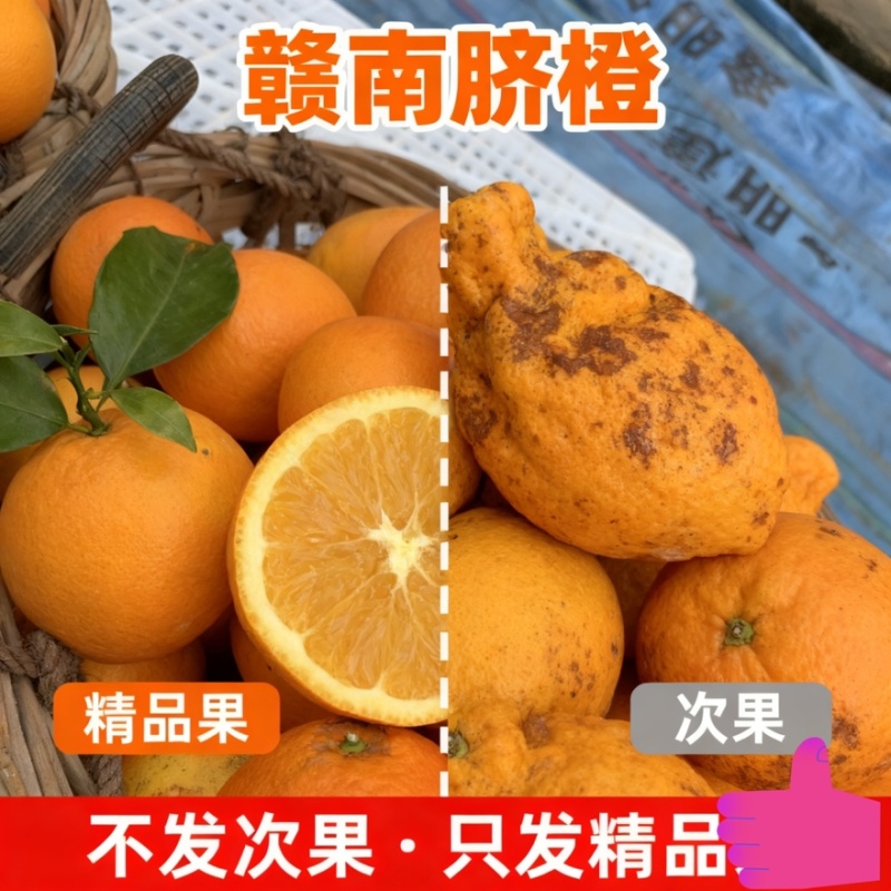 江西赣南脐橙，赣州橙子一件代发寻乌产地直发正宗新鲜