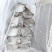 板冻鲳鱼，净重4斤，厂家直销，一手货源
