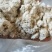 玉米油渣粉蛋白3-5脂肪3-5鸡鸭鹅水产饲料价格便宜