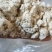 玉米油渣粉蛋白3-5脂肪3-5鸡鸭鹅水产饲料价格便宜