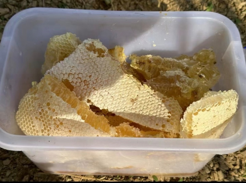 云南丘北县深山野蜂蜜