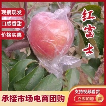 冠县红富士苹果大量现货，各大市场，商超，团购等欢迎合作。