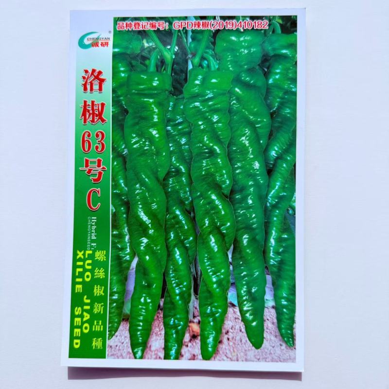 洛椒63号全螺旋顺直螺丝椒种子早熟果色翠绿辣味香浓春