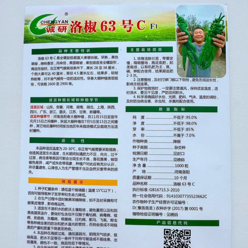 洛椒63号全螺旋顺直螺丝椒种子早熟果色翠绿辣味香浓春