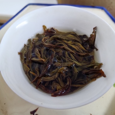 凤凰单丛