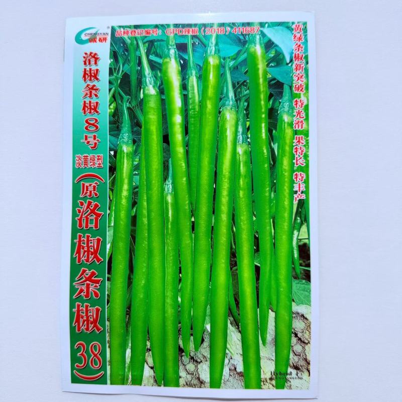 洛椒条椒8号辣椒种子杂交早熟淡黄绿色线椒较辣蔬菜籽