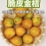 小金桔/广西脆皮金桔/金钱桔产地直供大量有货对接电商超市